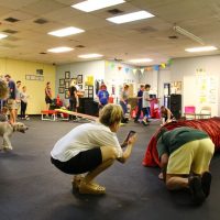 Full class at the dog training academy of south florida