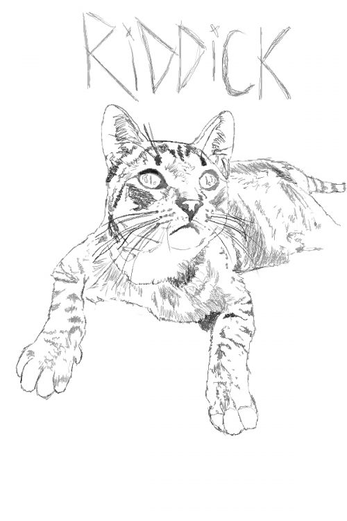 Drawing of Riddick The Cat