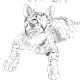 Drawing of Riddick The Cat