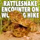 rattlesnake hike encounter
