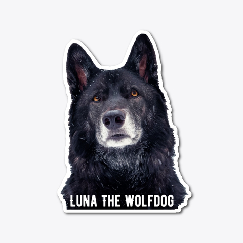 Luna The Wolfdog Sticker